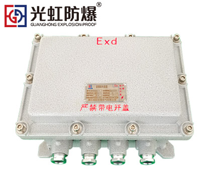 IIB隔爆型防爆接線端子箱空箱（IP54 T6）